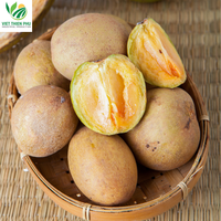 Bestseller Iqf Frozen Sapodilla/Hoogwaardig Standaardfruit Uit Vietnam