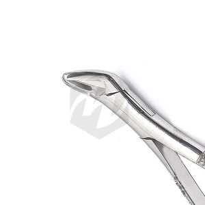 Premium Dental Extracting Forceps #151 Stainless Steel Tooth Extraction Forceps Lower Teeth Surgical Dental Medic Instruments - Product Image 5