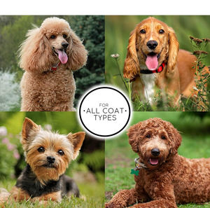 Crescent Coarse Fine Stainless Steel Comb\Professional Custom logo <b>Half</b> <b>Moon</b> Shaped Pet Grooming Combs - Product Image 5