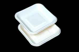 Assiettes jetables en papier biodégradables et compostables en bagasse de canne à sucre Eco White de 10 pouces, lot de 100 - Product Image 3