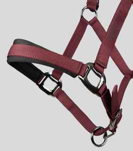 Collier de tête de cheval anglais traditionnel de qualité supérieure pour le saut en plein air et l'entraînement quotidien - Product Image 3