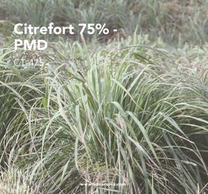 Citrefort 75% - PMD Fragancia Natural Fresca (CT-475) Aroma a Vainilla - Product Image 1