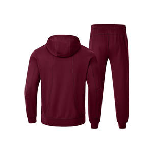 Venta al por mayor Regular Fit Hombres Sudadera con capucha Pantalones de chándal 100% Algodón 2 piezas Conjunto Logotipo personalizado Jogger Conjuntos Hombres Chándales Unisex Trajes de chándal - Product Image 5