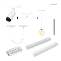 Rail magnétique 26 mm pour éclairage sur rail DC48V, spots LED sur rail, éclairage sur rail magnétique à montage en surface