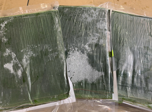 Feuille de bananier congelée verte fraîche du Vietnam idéale pour la cuisson à la vapeur et la présentation de plats traditionnels - Product Image 3