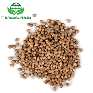 Poivre blanc Maluku Premium Agro Global Persada en gros, provenant des meilleures plantations indonésiennes, fraîcheur et goût inégalés 2 - Product Image 5