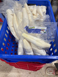 Manioc congelé-Manioc congelé traité IQF, tapioca frais congelé, manioc pelé congelé de haute qualité de 99 GD - Product Image 6