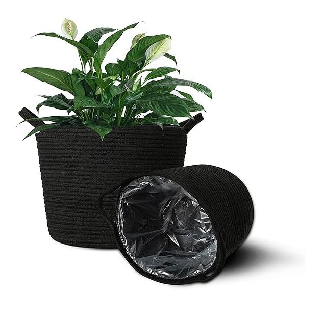 ตามที่แสดง