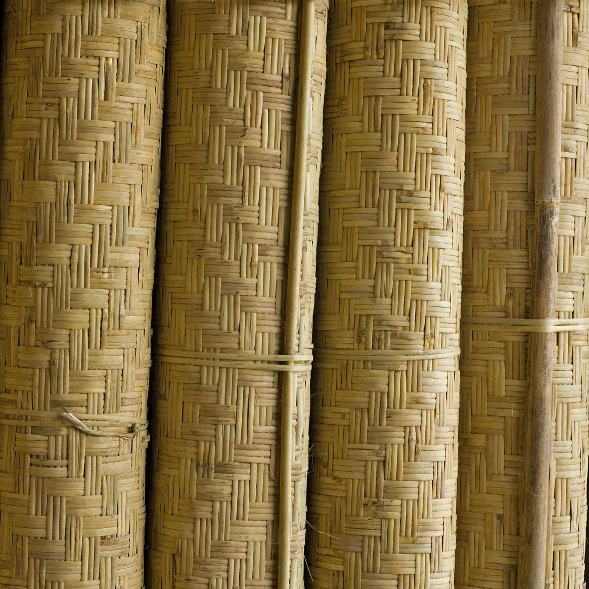 ธรรมชาติ