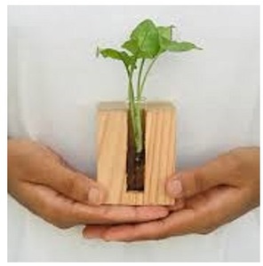 Small Baby Size Modern Eco-Friendly Wood Flower <b>Vases</b> Wholesale Custom Handmade <b>Unique</b> Decor Craft Logo Decorative Style Packing - Product Image 1