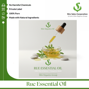 Huile essentielle de rue traitée à la vapeur pour les maisons de parfum professionnelles et les chaînes d'approvisionnement à l'exportation - Product Image 3