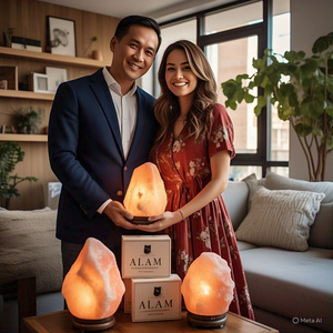 Best Selling GMP Approved Natural Himalayan <b>Salt</b> <b>Lamp</b> 2-3kg Electric Cord <b>Bulb</b> Organic Material Flower Love for Home Decoration - Product Image 1