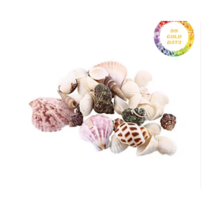 Real Ocean Shell Mix para manualidades hechas a mano, arte de resina y decoración del hogar - Product Image 3