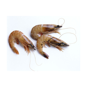 Crevettes Vannamei fraîches surgelées anguilles vivantes de meilleure qualité - Product Image 5