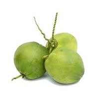 Coco joven de alta calidad-Fresh Young de Vietnam Productos de exportación 100% Natural Sweet Brix 7-9% de Ben Tre, Vietnam