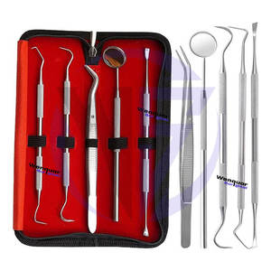 Nouveauté : Kit de 6 outils dentaires en acier inoxydable pour l'élimination du tartre et des taches, qualité supérieure, présenté dans un étui zippé. - Product Image 3