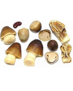 CHAMPIGNONS DE PAILLE EN CONSERVE POUR LE SOUTIEN DE LA SANTÉ INGRÉDIENTS VÉGAINS PURS ÉTIQUETTE PROPRE ALIMENTS ENTIERS À BASE DE PLANTES - Product Image 1