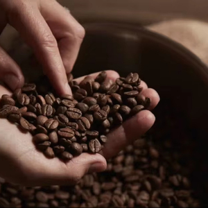 Café moulu torréfié Arabica biologique 100% Vietnam Lam Dong Certifié ISO 22000 Certification biologique USDA Marque TNFOOD Grade - Product Image 1