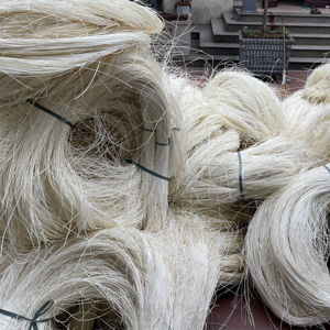 แกนหวายฟอกขาว2.0มม. 2.5มม. 3.0มม. ทำจากเวียดนามวัตถุดิบงานหัตถกรรมคุณภาพสูงทางการเกษตร - Product Image 1