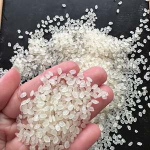 ข้าวญี่ปุ่นพรีเมียม ข้าวซูชิจากเวียดนาม สำหรับส่งออกขายส่ง เหมาะสำหรับตะวันออกกลางและยุโรป - เจค็อบ - Product Image 2