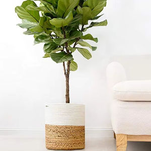 Grand pot de plante en jacinthe d'eau pour la décoration intérieure, balcon, jardin extérieur, design élégant, fait à la main, respectueux de l'environnement - Product Image 1