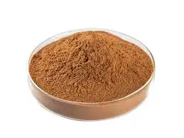 Pure quality BURDOCK (ARCTICUM) ROOT EXTRACT/ 100% natural water soluble extract ready for export