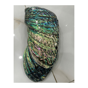 Vente chaude de coquille d'ormeau poli naturel pour la décoration, bijoux-en vrac de coquilles d'ormeau Colorfullip - Product Image 2