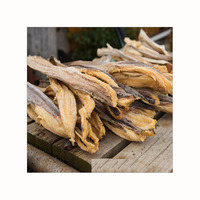 Stockfish séché de haute qualité à vendre Stock norvégien séché et têtes de morue/Tailles de morue et de stock de poisson séché disponibles