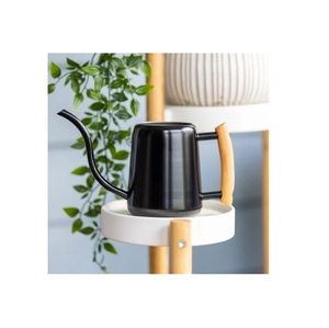 Arrosoir au design de luxe pour plantes d'intérieur Petits bidons d'eau Bec long pour arroser les plantes en plein air canne à eau - Product Image 3