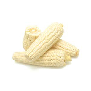 Maíz blanco NO Gmo de alta calidad, venta al por mayor de alto fabricante, nuevo mejor material con tarifa barata - Product Image 1