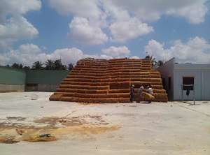 HIGH QUALITY <b>COIR</b> PEAT COCONUT PEAT <b>BLOCK</b> FROM 99GD - Product Image 5