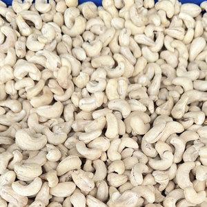 Noix de cajou crue à prix Offre Spéciale bon marché en coquille W240 450 Sw Santigo usine Vietnam taille de coupe personnalisée - Product Image 1