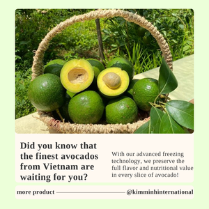 Des avocats surgelés du Vietnam de qualité supérieure pour vos besoins professionnels - Product Image 6