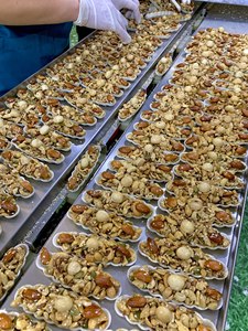 DISPONIBLE Nuez Boat Cake Crunchy Snack Mixed Nuts Anacardo Almendra Nogal Ideal para reuniones de negocios y ventas de supermercados Vietnam - Product Image 4