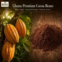 Poudre de cacao naturelle 10-12% de matières grasses, qualité alimentaire, approvisionnement en vrac pour l'industrie de la pâtisserie et des biscuits