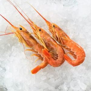 Camarones Rojos Argentinos de Primera Calidad, Congelados, Crudos, Enteros, para Exportación, Compradores al por Mayor e Industria Alimentaria - Product Image 5