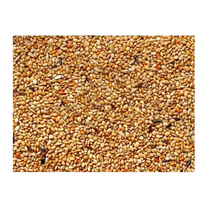 Wholesale Factory Supplier Bulk Bird Feed Sunflower Seeds