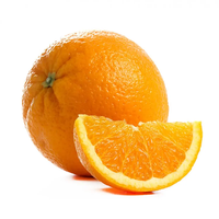 Fruits Citronnés Frais Biologiques - Oranges Valencia et Mandarine de Floride Marque HMSAI au Meilleur Prix