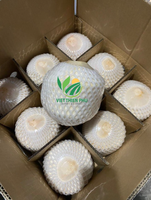 Hot Product van de Maand - VIET THIEN PHU Biologische Jonge Verse Kokosnoot - Hele Schil - Premium Kwaliteit - Gratis Sample