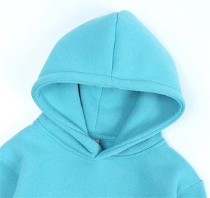 OEM de las mujeres 100% de algodón polar recortado sudaderas con capucha de invierno personalizado tejido con capucha Casual Streetwear Puff DTG pantalla corto liso teñido - Product Image 2