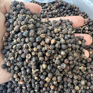 Poivre noir du Vietnam de haute qualité de fabrication prêt pour l'exportation en vrac toutes qualités épices simples et herbes/ANNA DO VILACONIC - Product Image 1