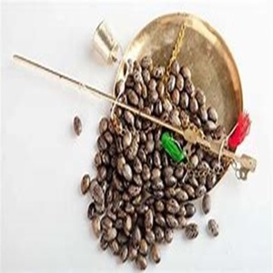 Semillas de Ricino Naturales de Gran Tamaño, Producto Agrícola a los Mejores Precios - Product Image 6