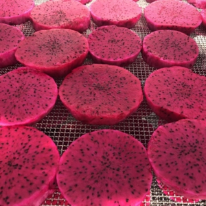 Vietnam High Quality Dried Dragon Fruit Advanced Dehydration Process Sweet Taste Fruit Tea Wholesale Preserved with <b>Water</b> - Product Image 4