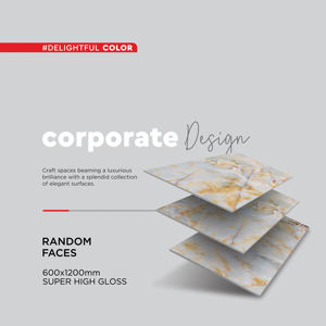 Tuile de porcelaine émaillée polie super brillante de taille 600x600mm et 600x1200mm - Product Image 6