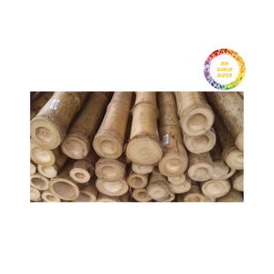 Postes de bambú de alta resistencia: origen vietnamita multiusos, biodegradables y personalizables - Product Image 3