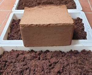 Bloque de Turba de Coco Hecho en Vietnam, 5 kg, Briquetas de Turba de Coco para Plantas - Product Image 3