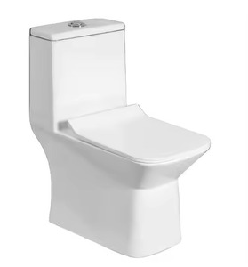 Proveedor indio, alta calidad, estilo estándar europeo, Color blanco perla, WC de cerámica, baño de una pieza, asientos de inodoro, precio - Product Image 3