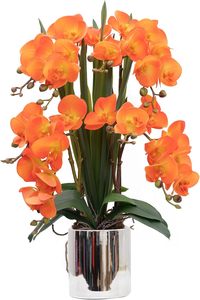 THAOF-152 Tallos de Orquídeas de Tacto Real, Flores Artificiales de Phalaenopsis para Centro de Mesa - Product Image 2