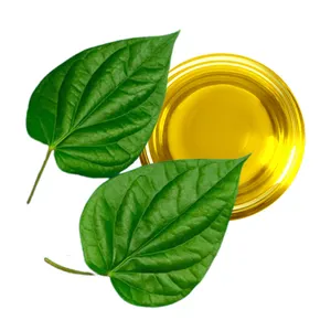 High Concentrate Betel Leaf Fragrance Oil For Perfume and Body Care Product making Steam distilled Betel Leaf Oil