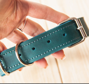 Collar de perro sabueso de cuero verde de alta calidad para galgo y Whippet - Product Image 2